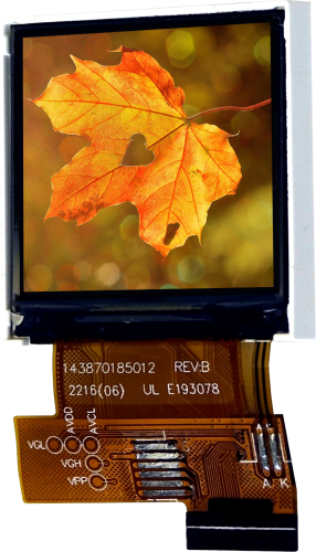 56eaa055c9c9bbd162ee69c38bdef470_1920x1920.png